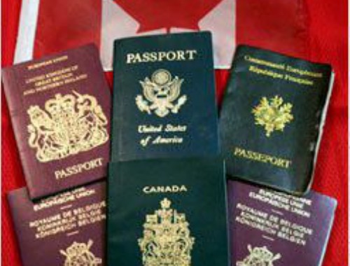 “哪有移民中介？”——三步锁定靠谱机构，别让梦想卡在第一步